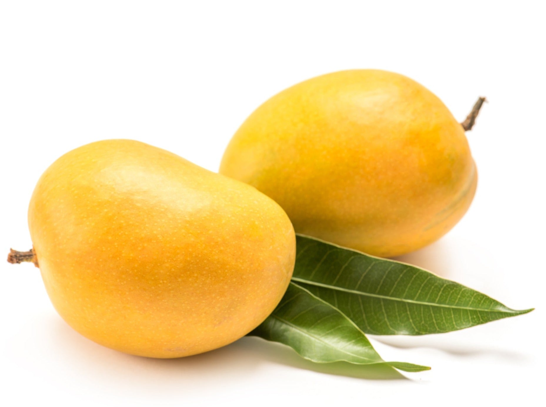 Alphonso Mango