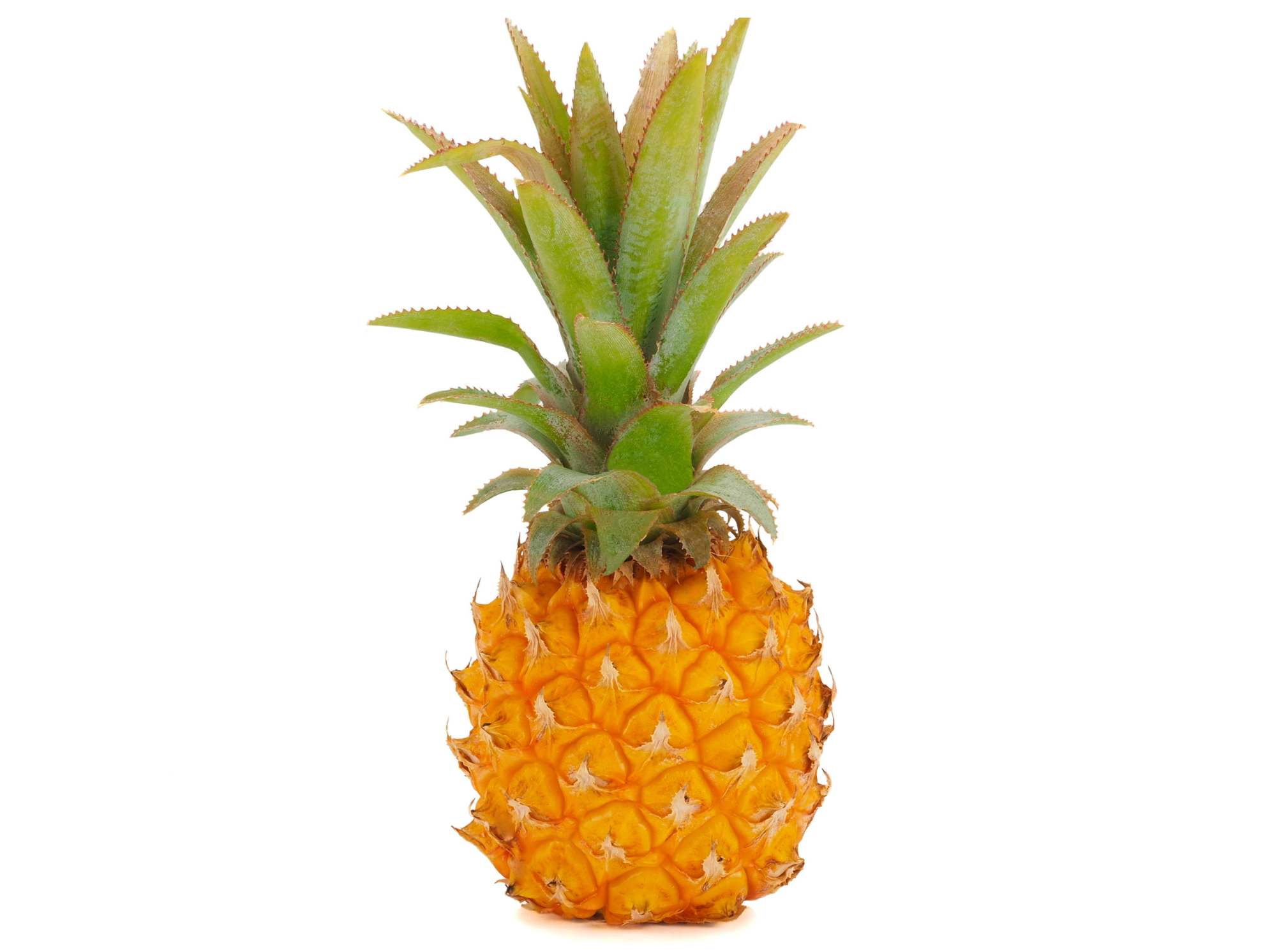 Baby Pineapple: Tropical Delight Packed with Sweet and Juicy Goodness