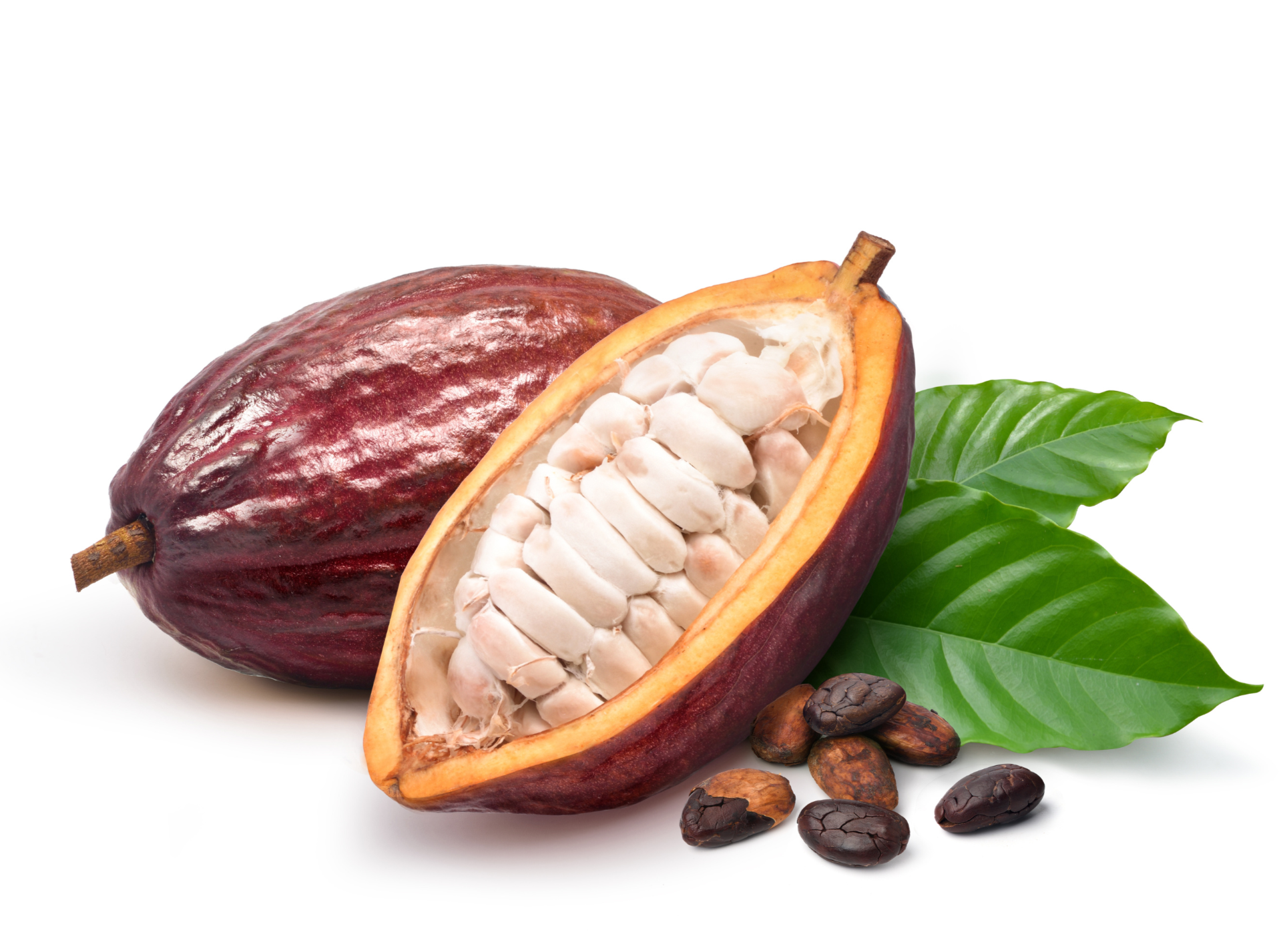 Cacao Fruit