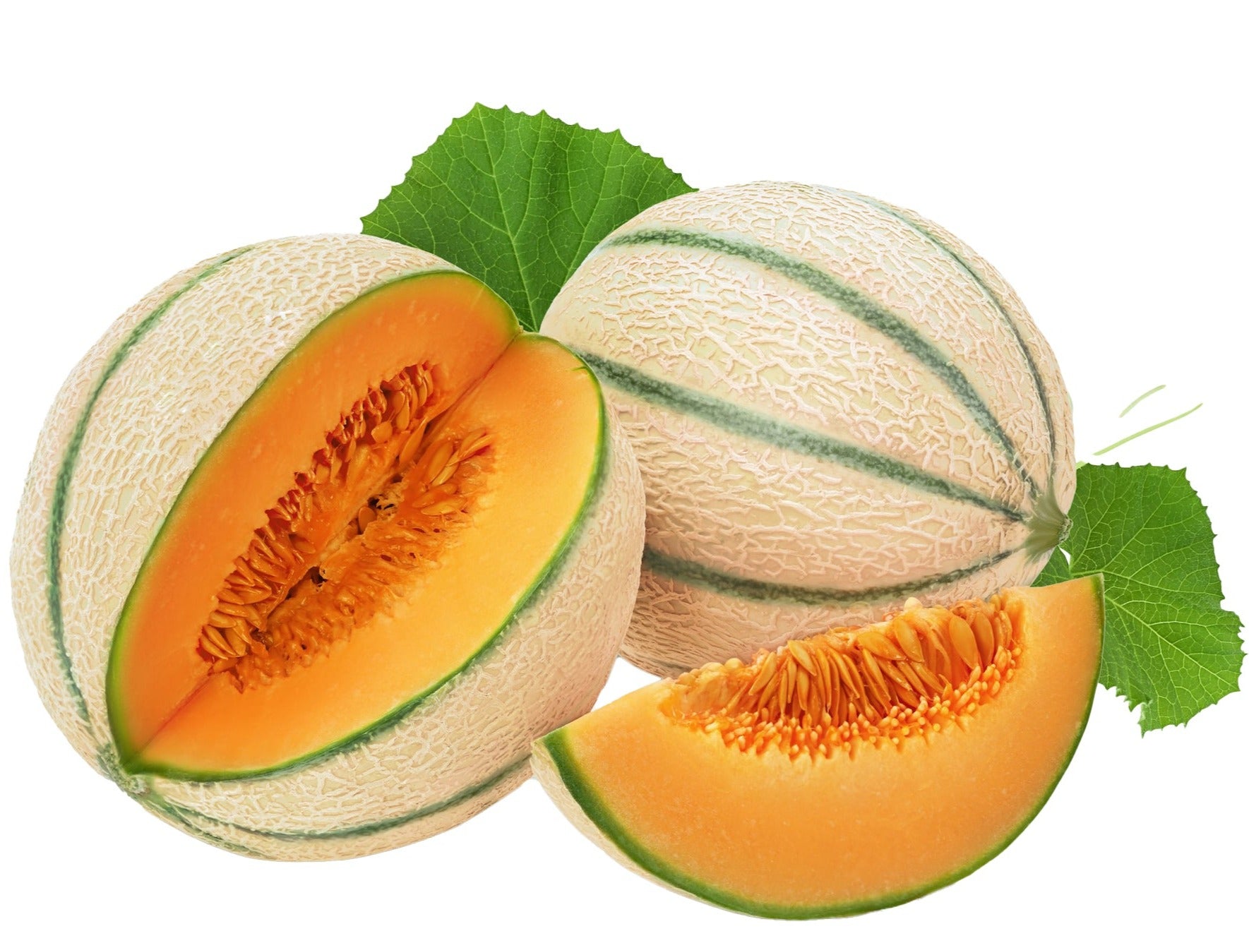 French Cantaloupe - Charentais Melon