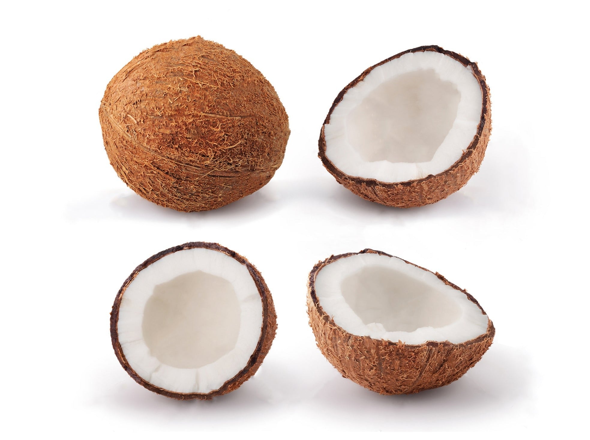 Coconuts