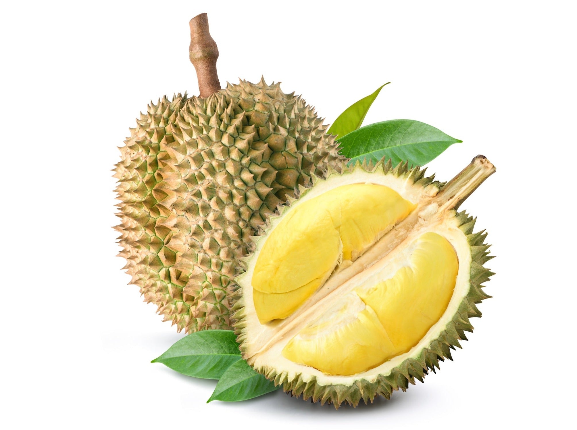 Durian Fruit