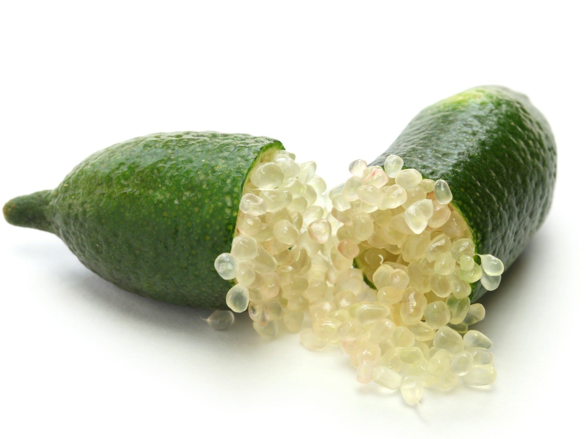 Finger Lime