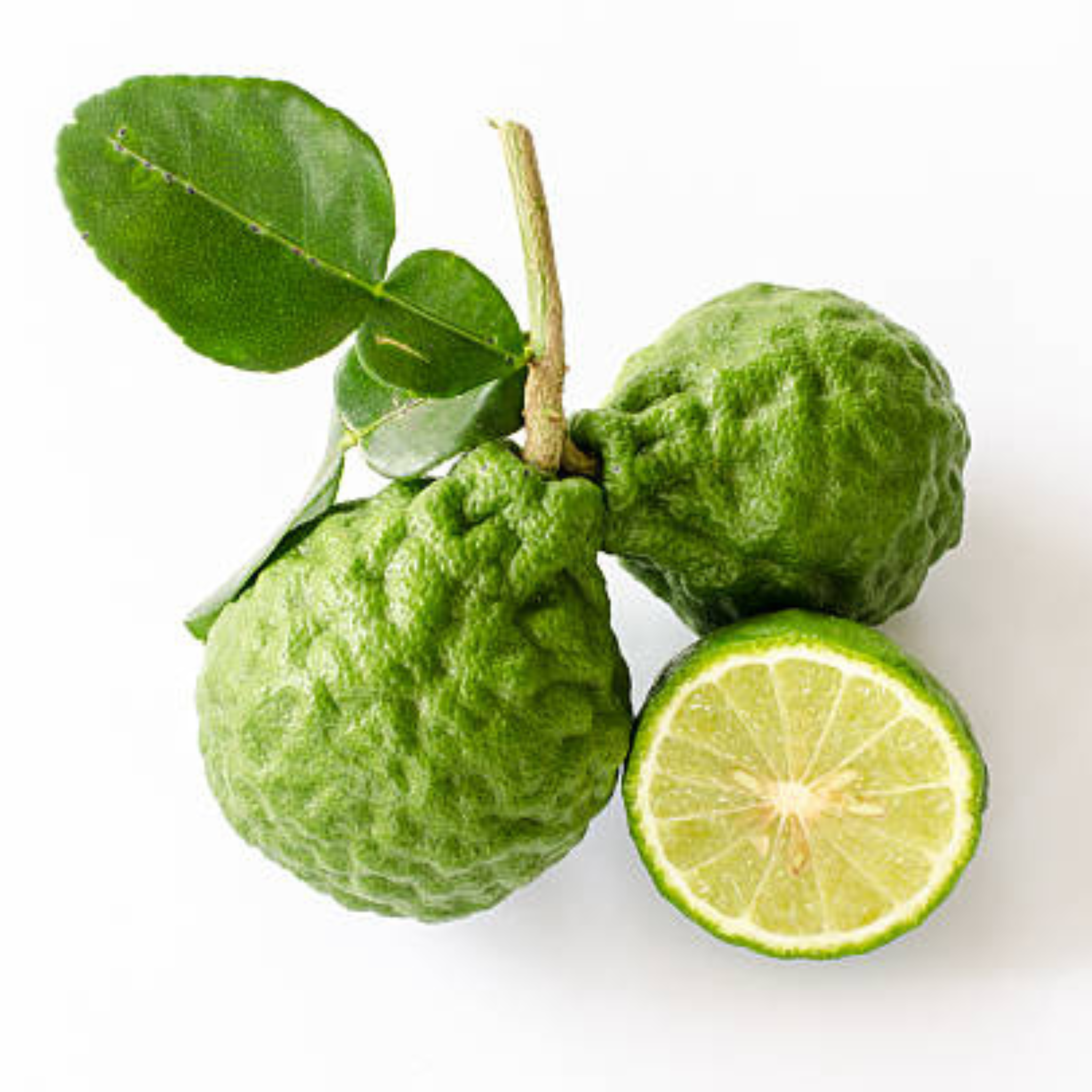 Kaffir Lime