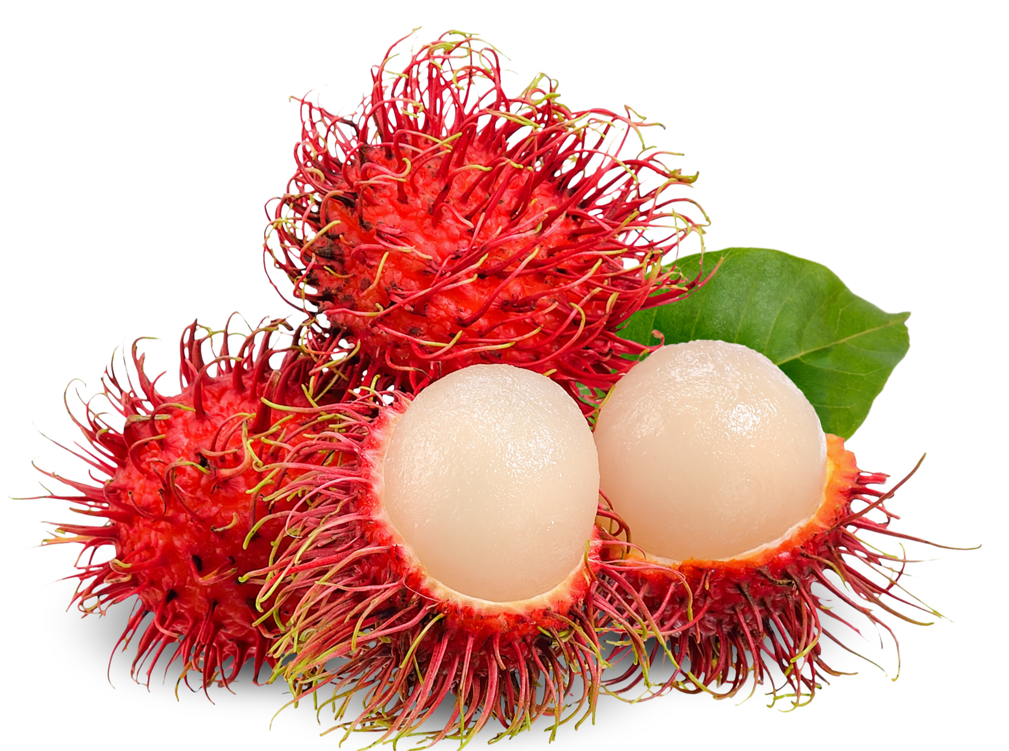 Rambutan