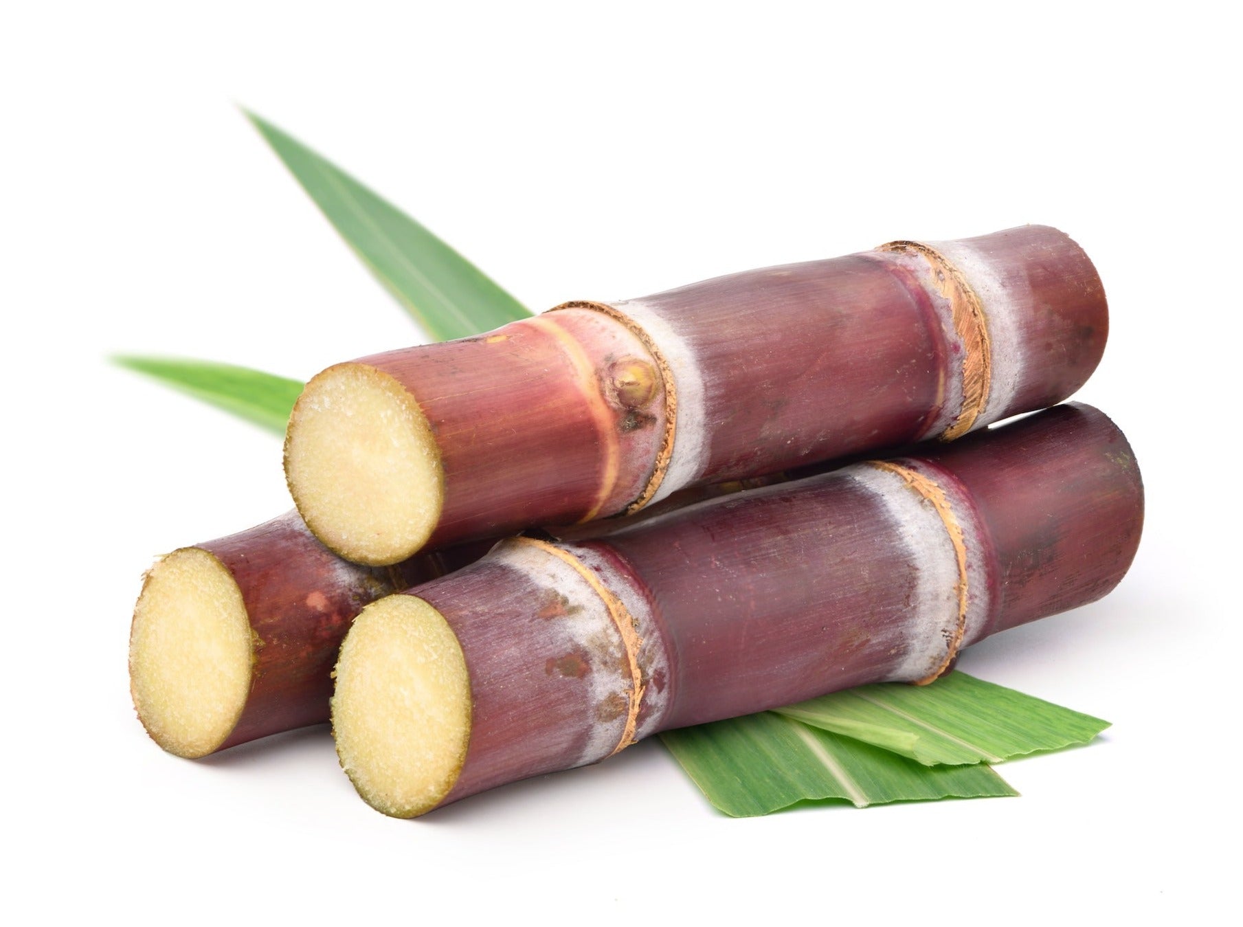 Red Sugar Cane