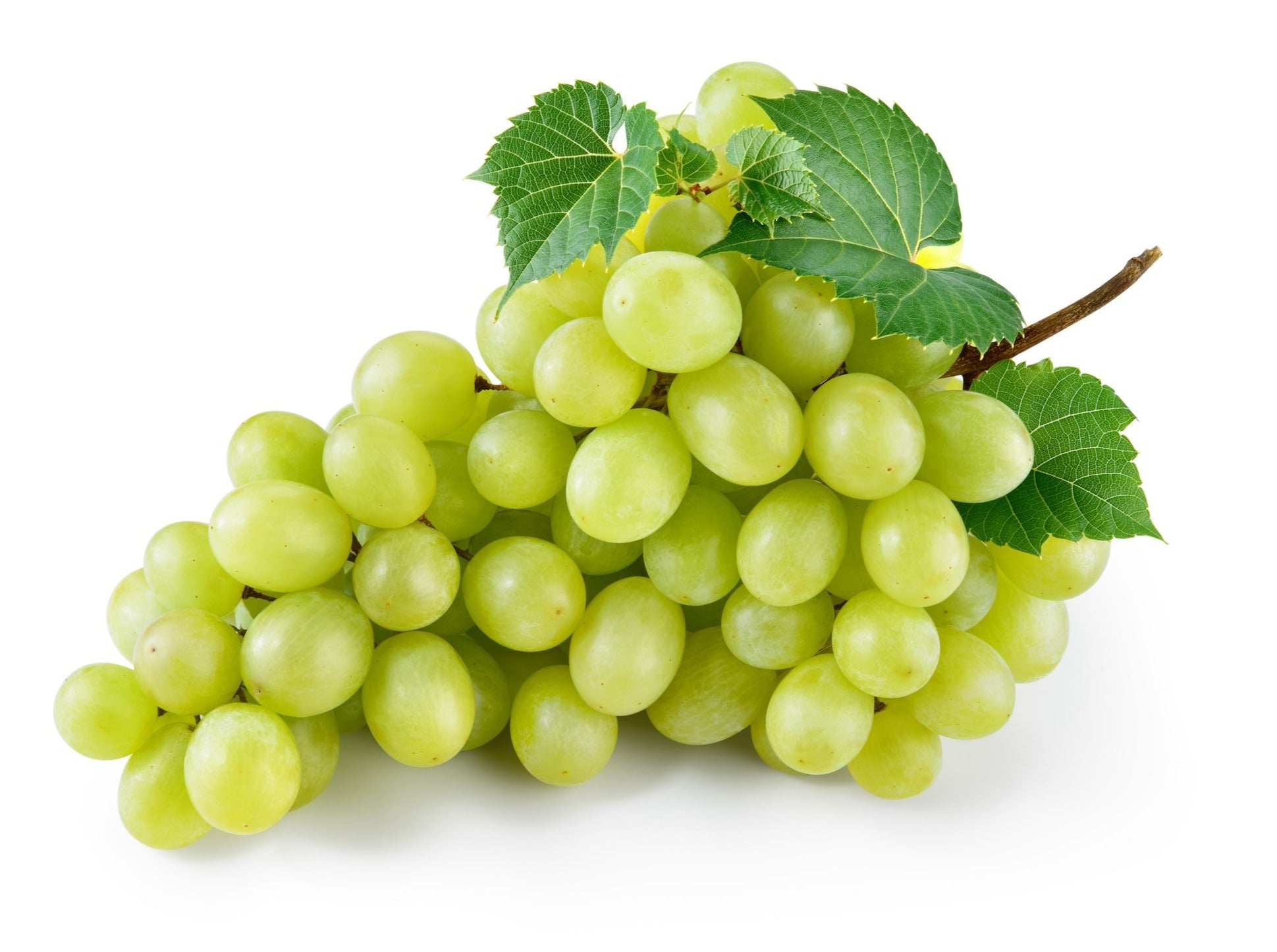 Seedless Green Grapes