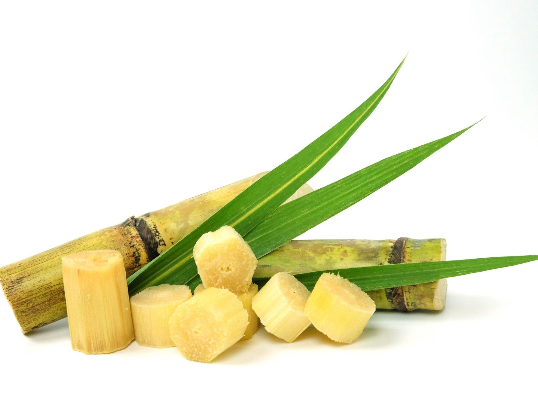 Sugar Cane