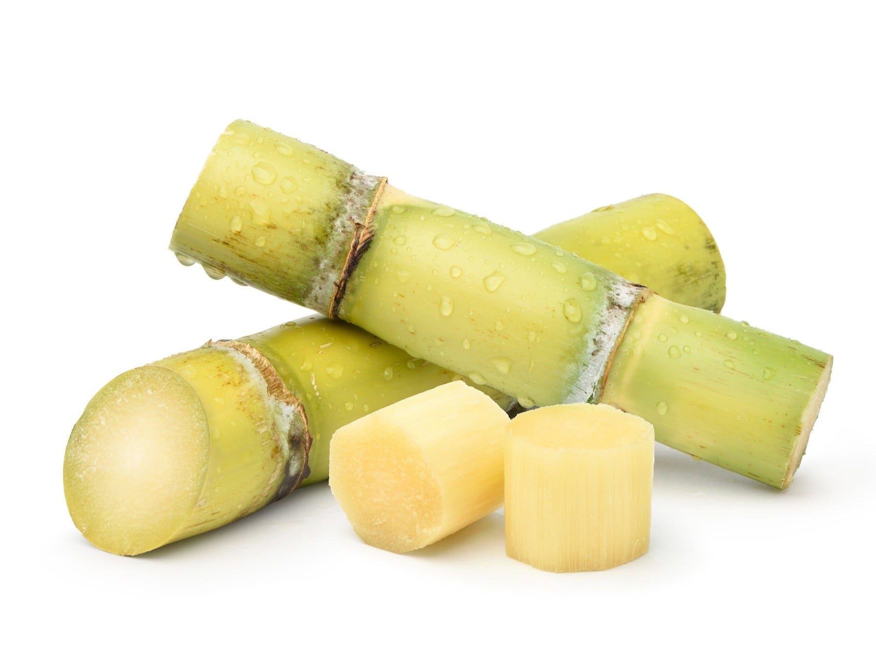 Sugar Cane